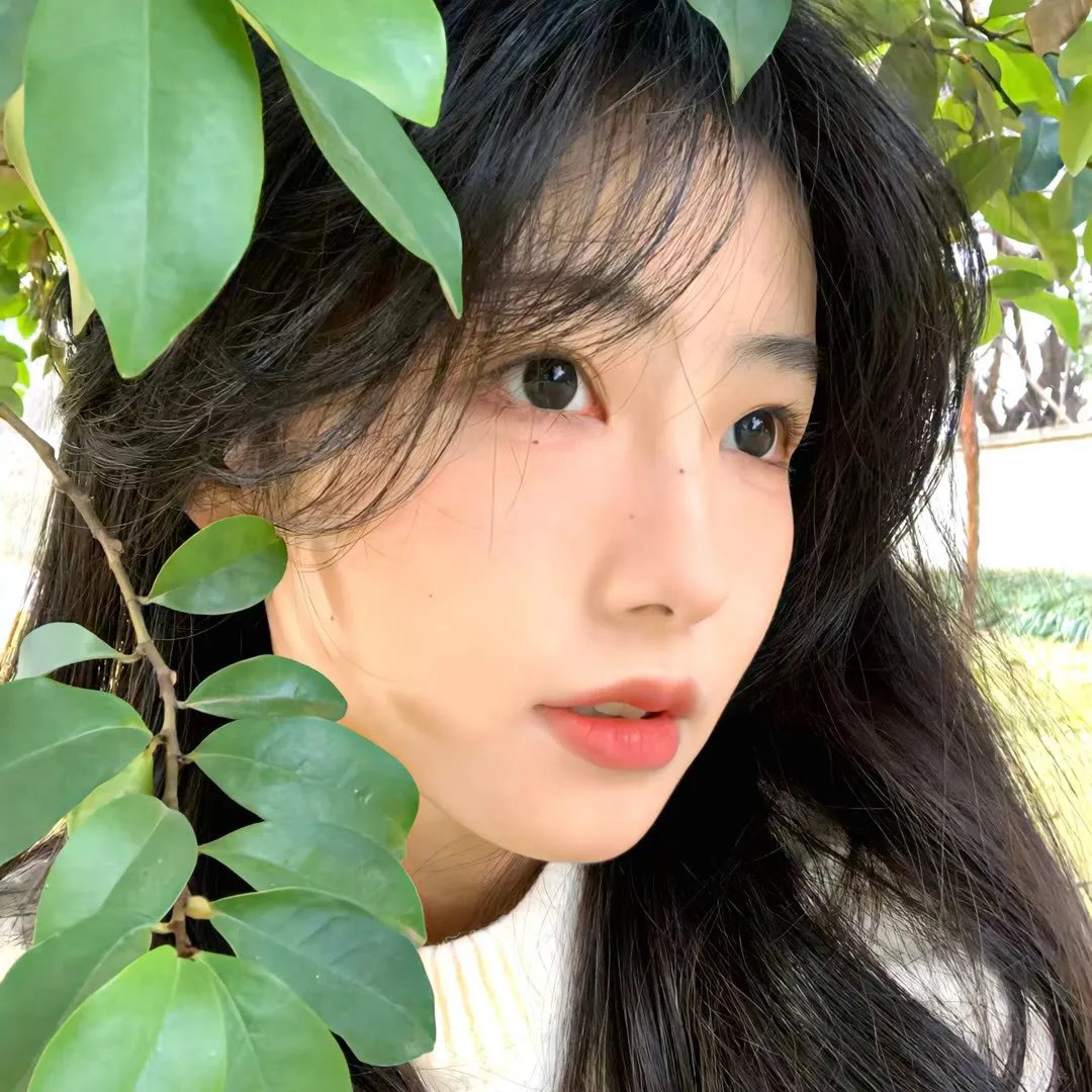 秘术